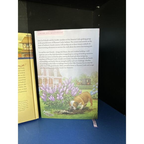 3 book lot!! Including Where Hope Dwells by Elizabeth Ludwig (2023, Hardcover) - Picture 7 of 12